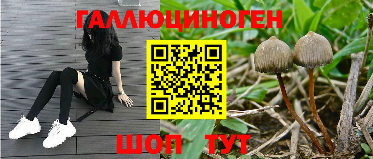 Галлюциногенные грибы Psilocybe  хочу   Бирск 