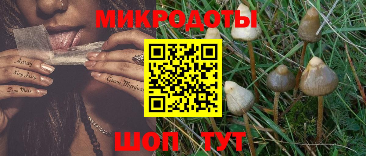 Бирск  Псилоцибиновые грибы мухоморы  Галлюциногенные грибы прущие грибы  цены   Вход с VPN 