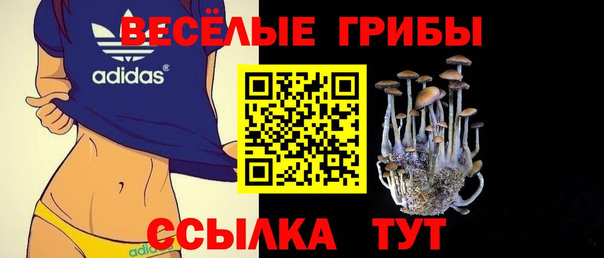Псилоцибиновые грибы Magic Shrooms Бирск